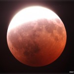 http://www.ellf.ru/world/23836-lunnoe-zatmenie-19-foto.html