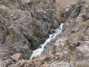 IMG_1445