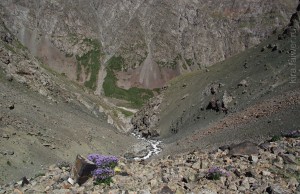 DSCF1727