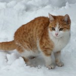 6543