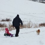 DSCF6610