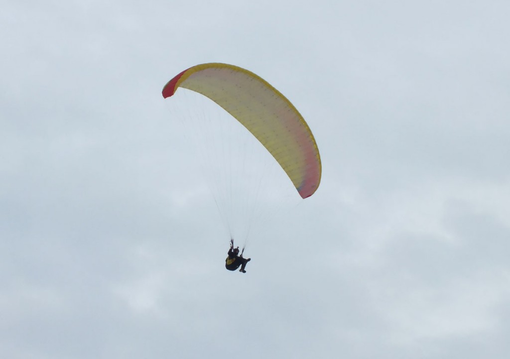 DSCF6891