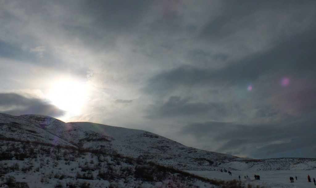 DSCF7017