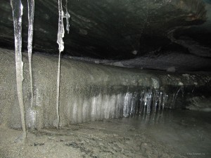 IMG_1212