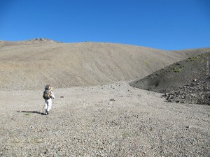 IMG_1249