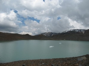 IMG_1342