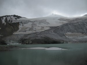 IMG_1417