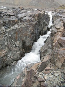 IMG_1442