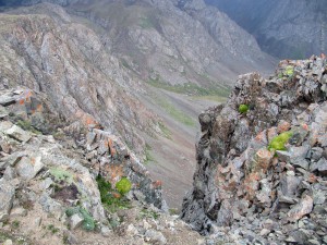 IMG_1451