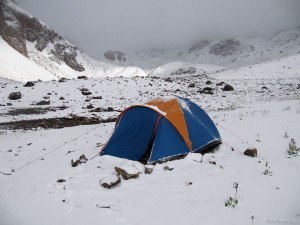 IMG_1535