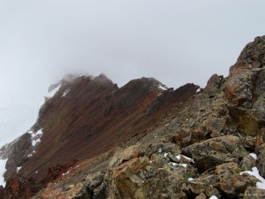 IMG_1601