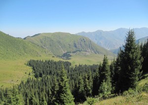 IMG_1778