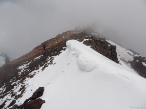 IMG_9946