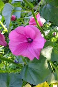 DSCF1164