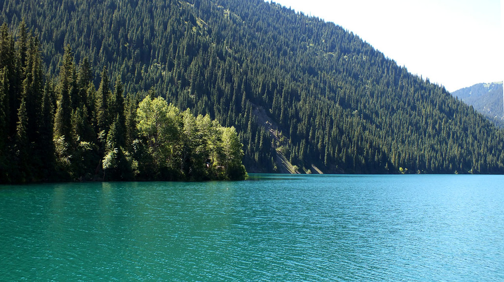 DSCF1185