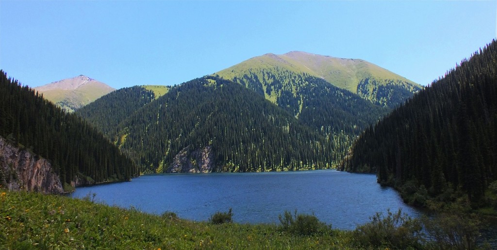 DSCF1245.11