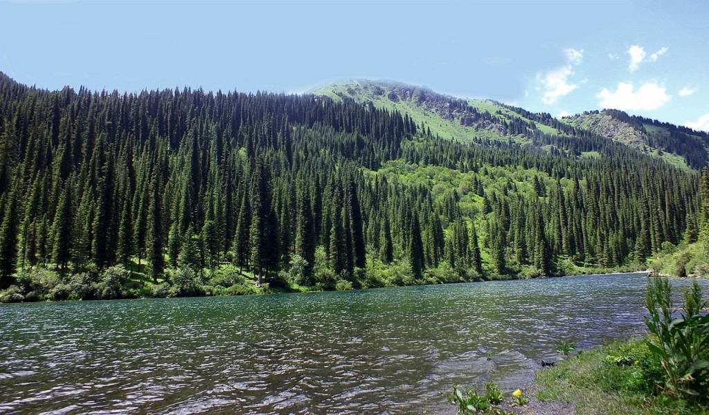 DSCF1253.11