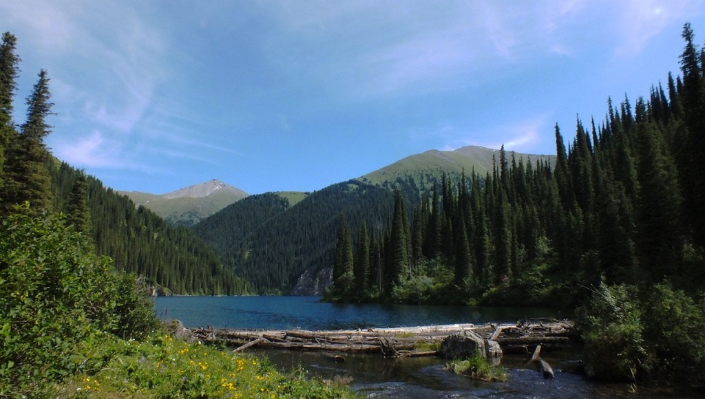 DSCF1286.11