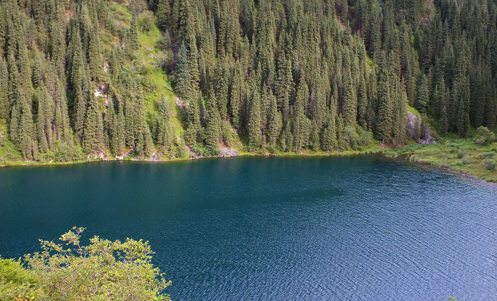 DSCF1303
