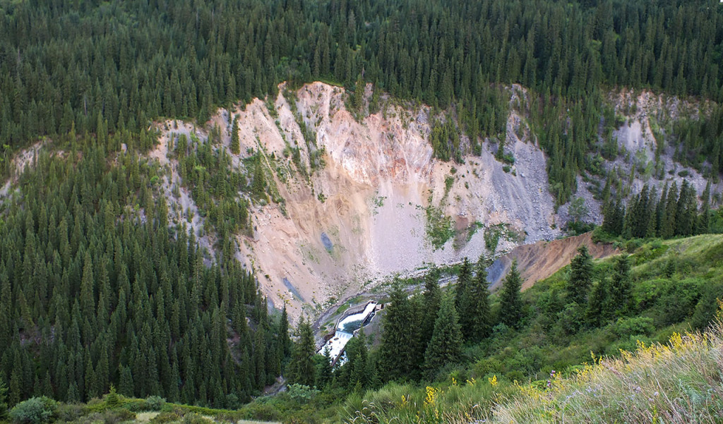 DSCF1388