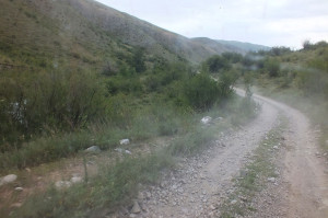 DSCF1444