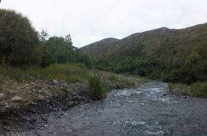 DSCF1449
