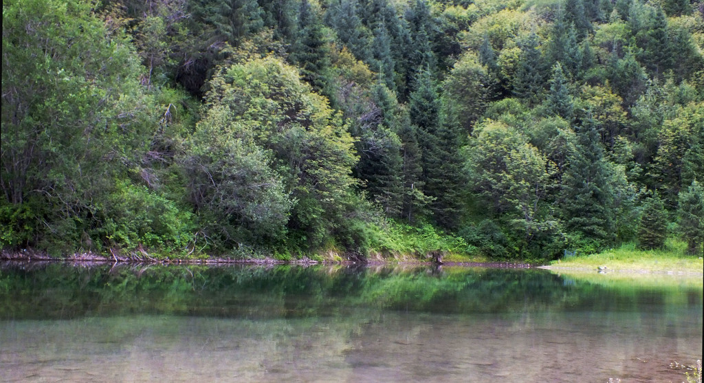 DSCF1565