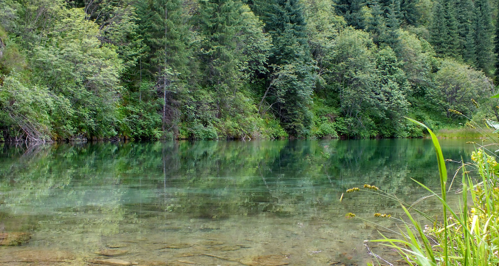 DSCF1568