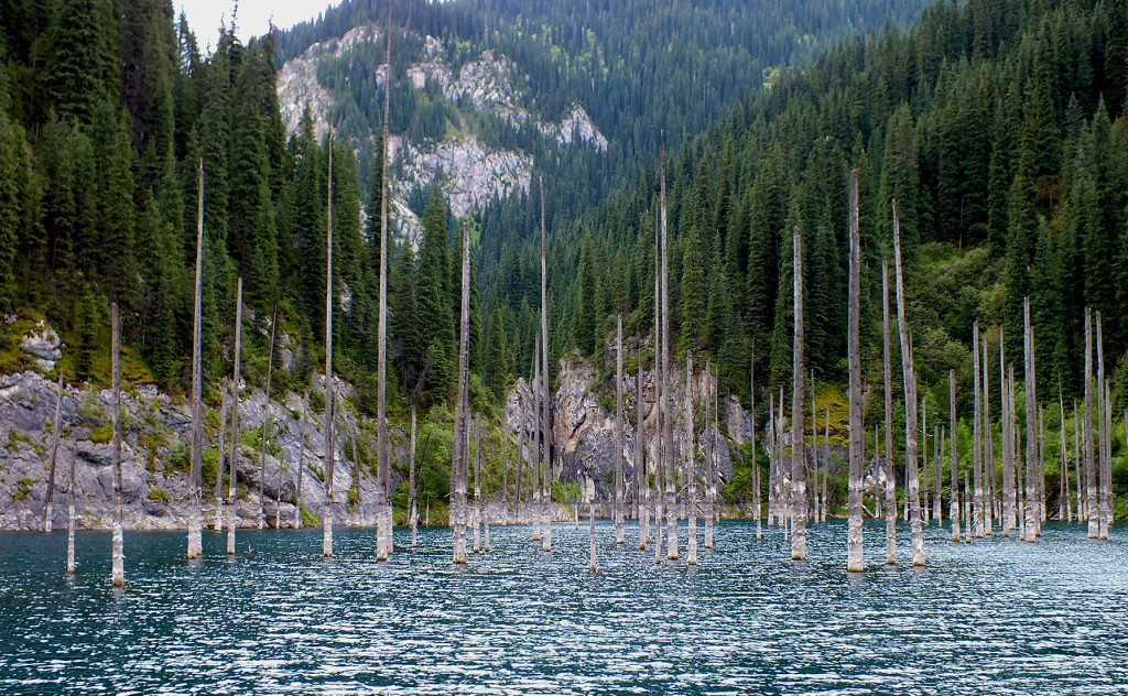 DSCF1628.1