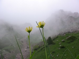 IMG_0856