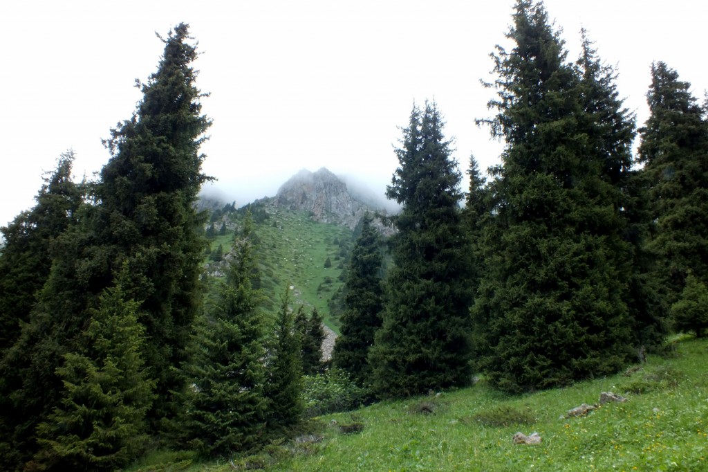 S0039589