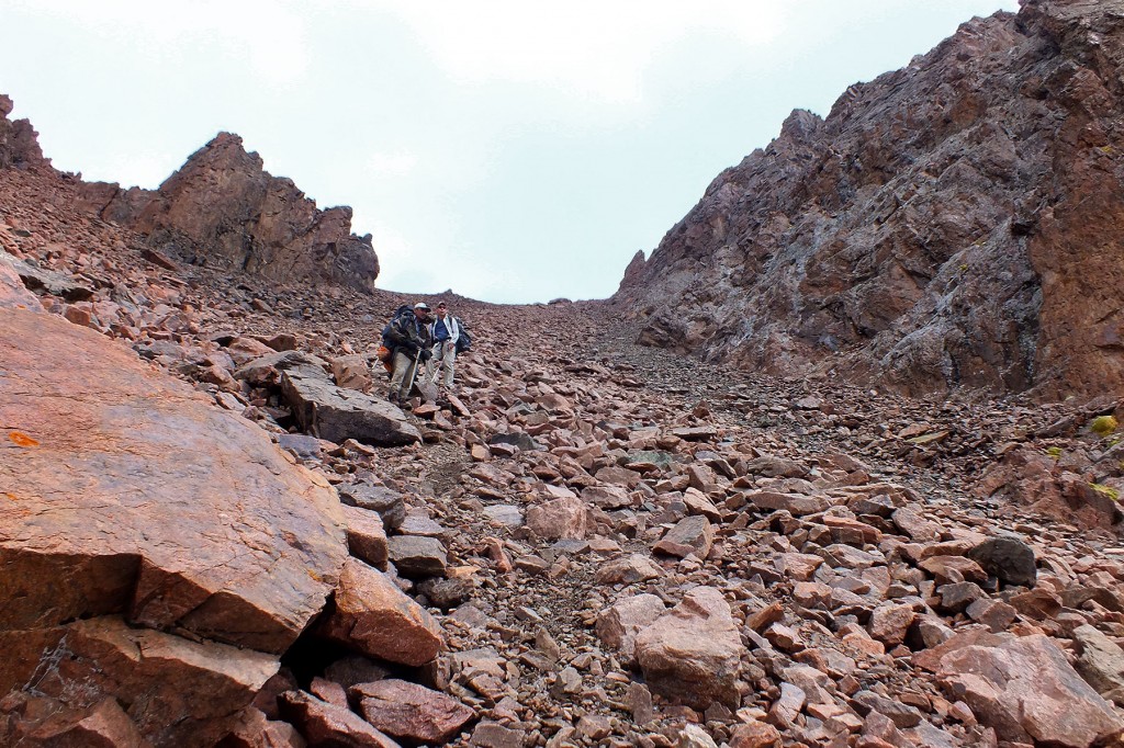 S0989731