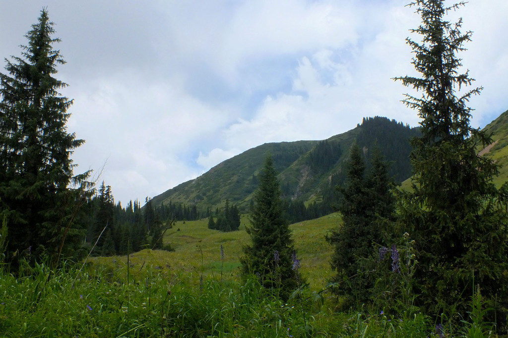 DSCF2215