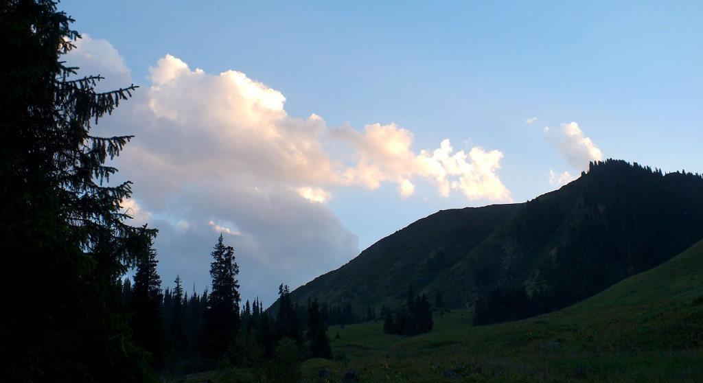 DSCF2369