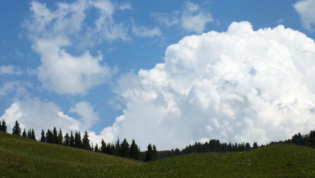 DSCF2574