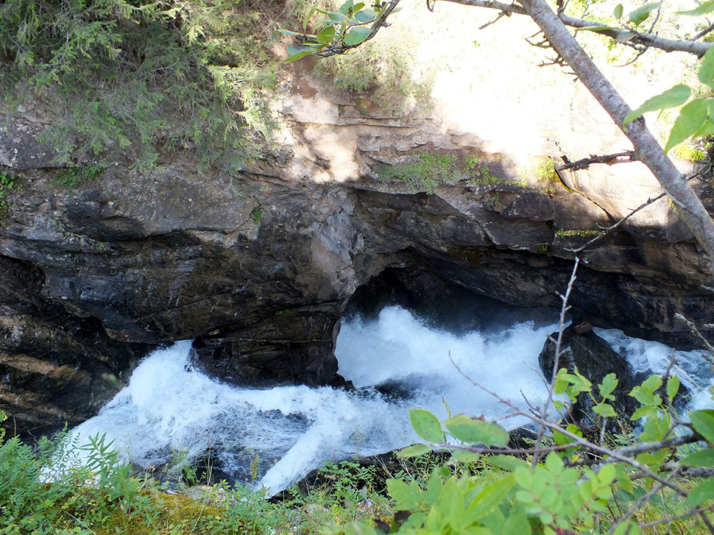 DSCF2746