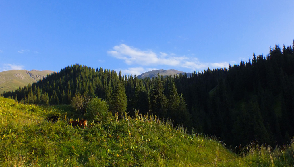 DSCF2968.1