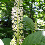 DSCF9148